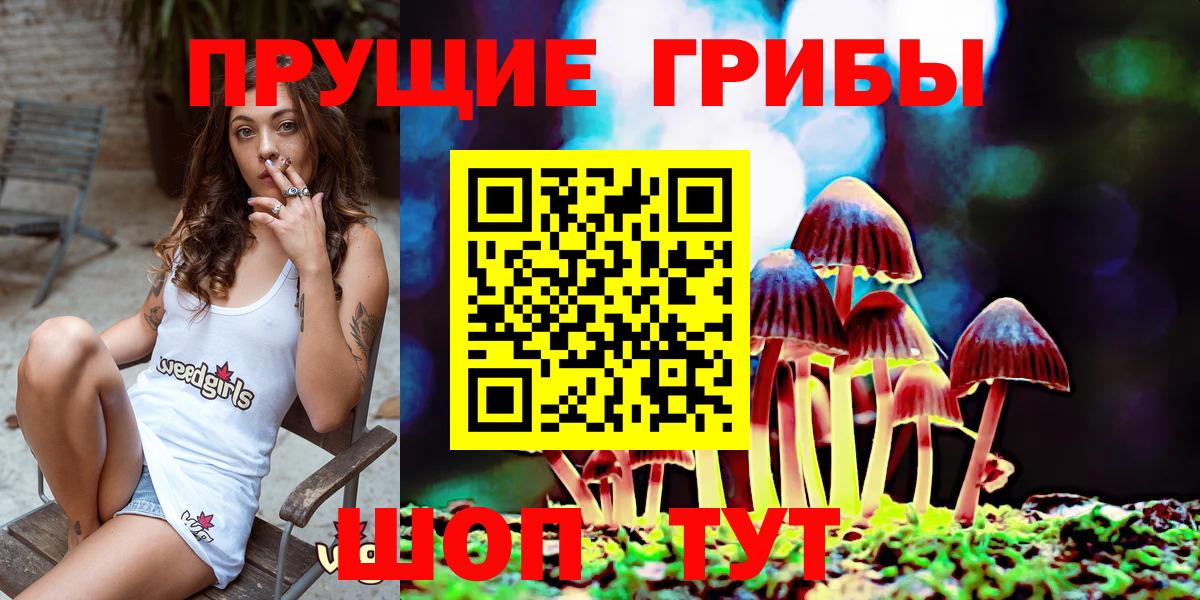 Чапаевск  Псилоцибиновые грибы мицелий  Вход с VPN 